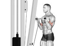 آموزش نحوه اجرای جلوبازو سیم کش ایستاده