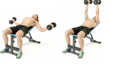 آموزش قفسه بالا سینه دمبل