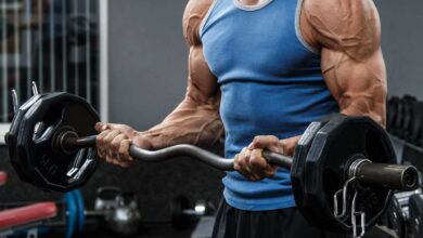 برنامه فول بادی مبتدی رایگان