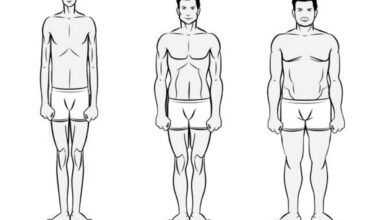 انواع تیپ بدنی در بدنسازی