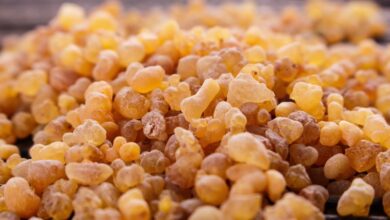 خواص کندر و تاثیر آن بر کاهش وزن